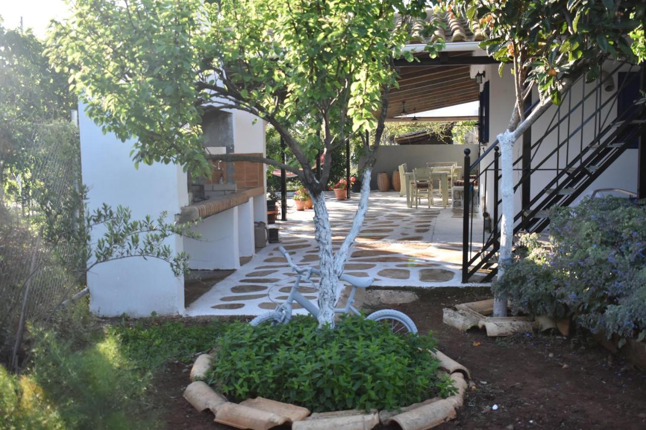 Vila Pigadia Vromonérion Exteriér fotografie