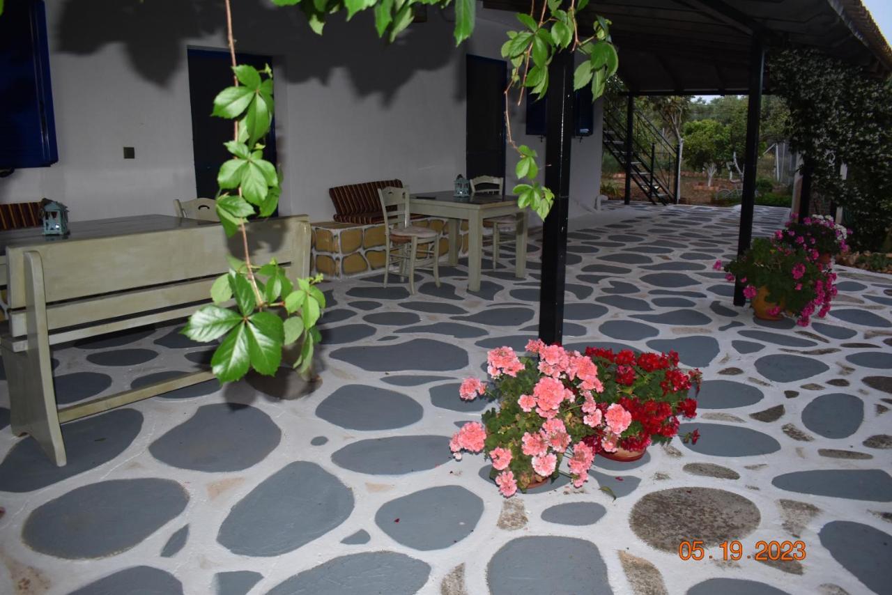 Vila Pigadia Vromonérion Exteriér fotografie